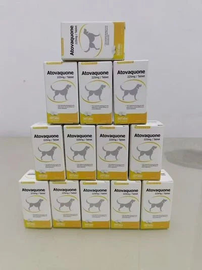 Atovaquone 225 mg Tablets