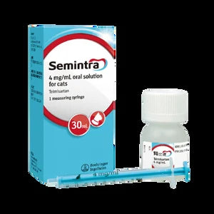 Semintra Telmisartan Oral Solution – Strength Review